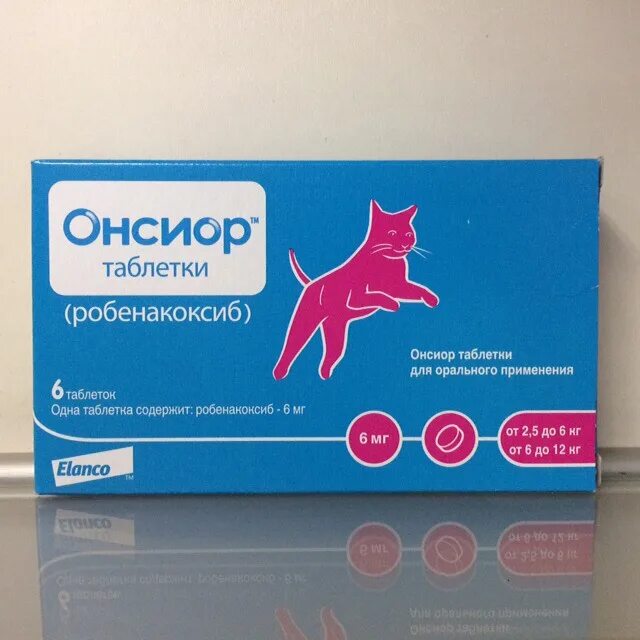 Можно ли собаке дать обезболивающее