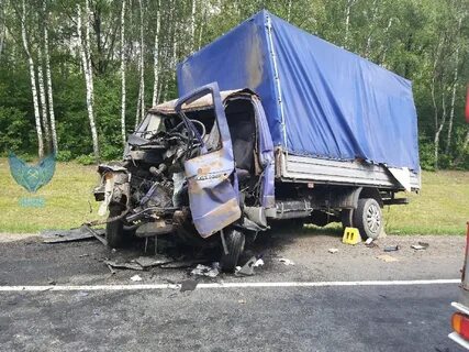 Дтп с газелью