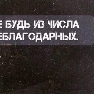 Ваша гордость
