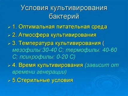 Оптимальные условия культивирования