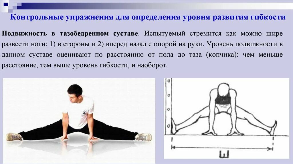 Тестовое задание для определения гибкости. Комплекс упражнений для развития гибкости. контрольные упражнения по гибкости.