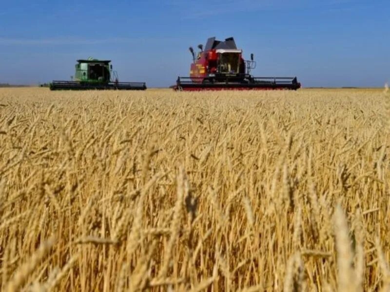 Карта дегеніміз не география. Тюркский каганат легенда. Солтүстік африканың монархиялы мемлекетінде дамыған шаруашылық. Солтүстік америка карта. Солтүстік африка елдері карта.