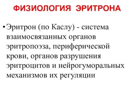 3 физиология