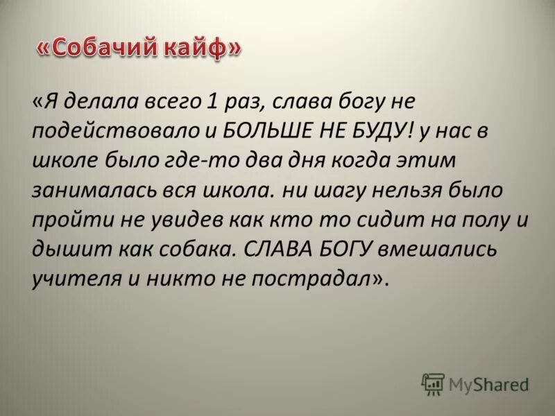 Как делается собачий. Собачий кайф. как сделать собачий кайф самому. что такое собачий кайф и его последствия.