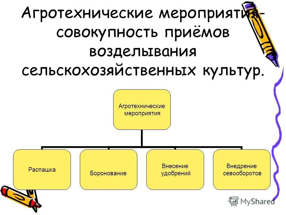 Агротехничнические мероприятия. Агрозоотехнические мероприятия. Агротехнические мероприятия. Мероприятия по защите почв от ветровой эрозии. Агротехнические мероприятия это.