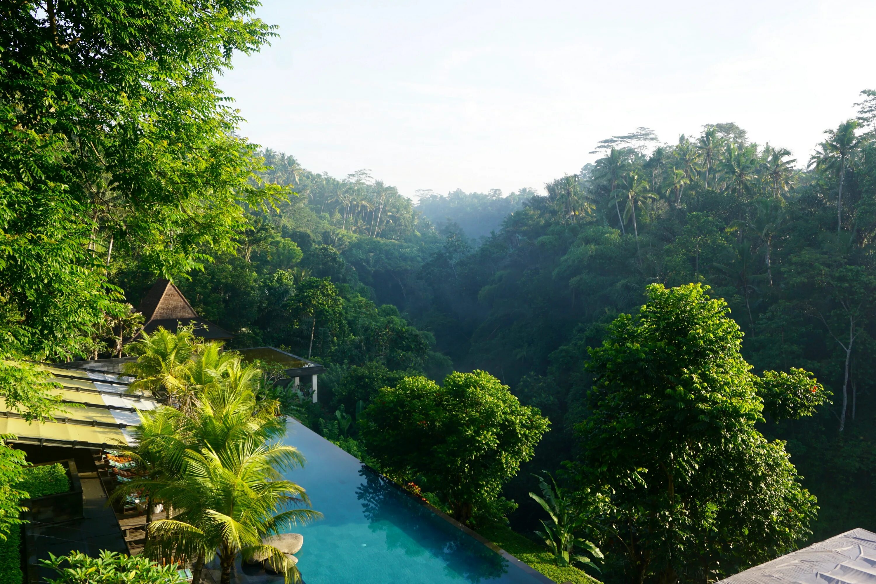 Nandini jungle resort & spa bali. Субак на бали. Бали убуд джунгли. Убуд джунгли. Бали остров джунгли.