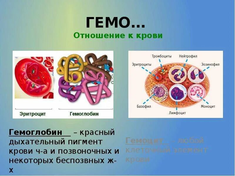 Кровяной пигмент. Киноварь пигмент. Гемоглобин. Кобальт азотнокислый. Гемоглобин дыхательный пигмент крови.