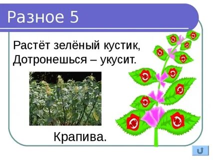 Солнце грело трава оживая росла и зеленела