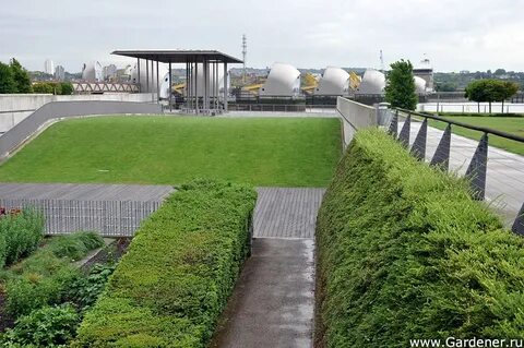 Лосиный остров ландшафт