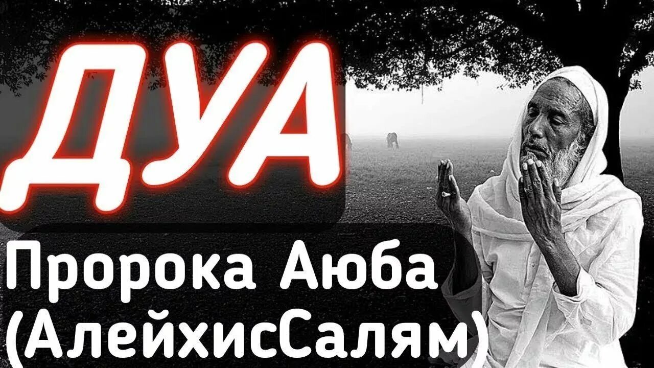Дуа которые делал пророк. Дуа пророка. дуа аюба. мольба пророка аюба. дуа пророка аюба от болезней.