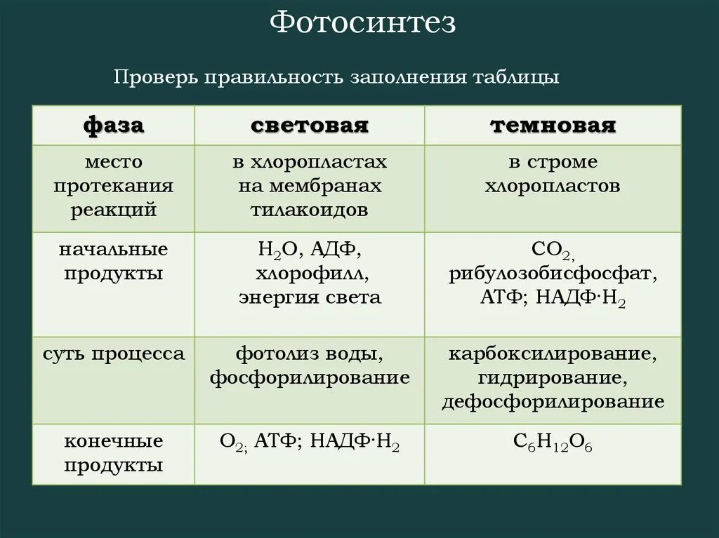 Выделение газа происходит в результате реакции. Фотосинтез световая фаза и темновая фаза таблица. Процесс фотосинтеза световая и темновая фазы. Фазы фотосинтеза световая и темновая таблица. Фазы фотосинтеза таблица 9 класс световая и темновая.