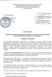 Положение об организации пропускного режима