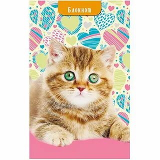 Обложка с котами