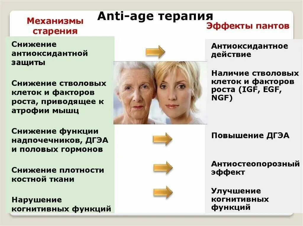 Anti-age терапия. Анти эйдж терапия. Возрастные изменения лица. Анти эйдж косметология.