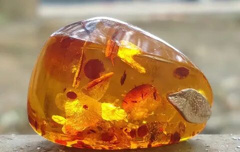 Amber состав