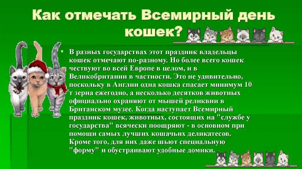 День кошек в россии 2024 год. Всемирный день кошек. День кошек презентация. Сегодня Всемирный день кошек.