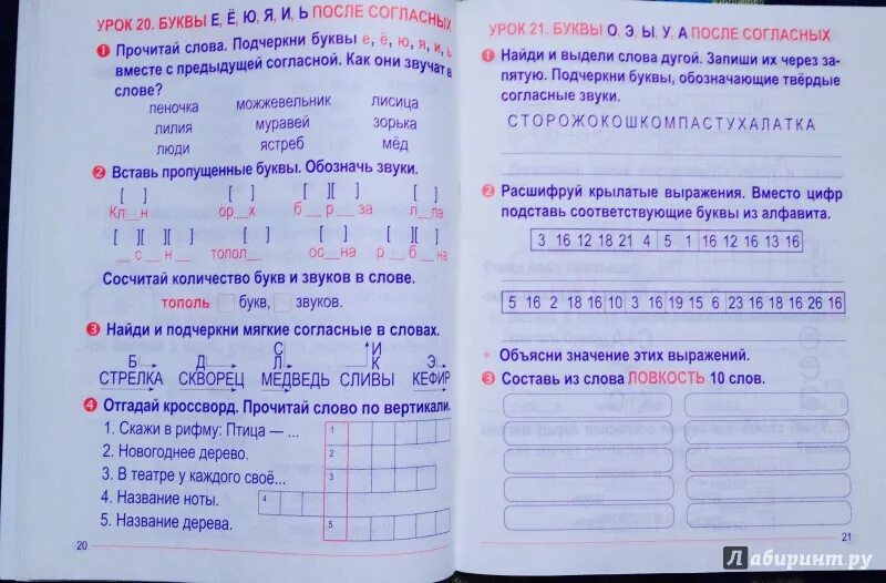 Тополь звуки и буквы. Русский язык тетрадь для закрепления знаний. Русский язык тетрадь для закрепления знаний 2 класс. Тетрадь для закрепления по русскому. Тетрадь для закрепления знаний по русскому языку 2 класс.