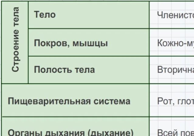 Покров тела дождевого червя таблица. Покровы тела дождевых червей выполняемые функции таблица. таблицы дождевого червя система органов особенности строение. лабораторная работа покровы тела 7 класс.