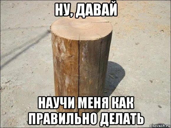 Что значит бревно. Мемы про бревно. шутки про бревно. я бревно. девушка бревно мем.