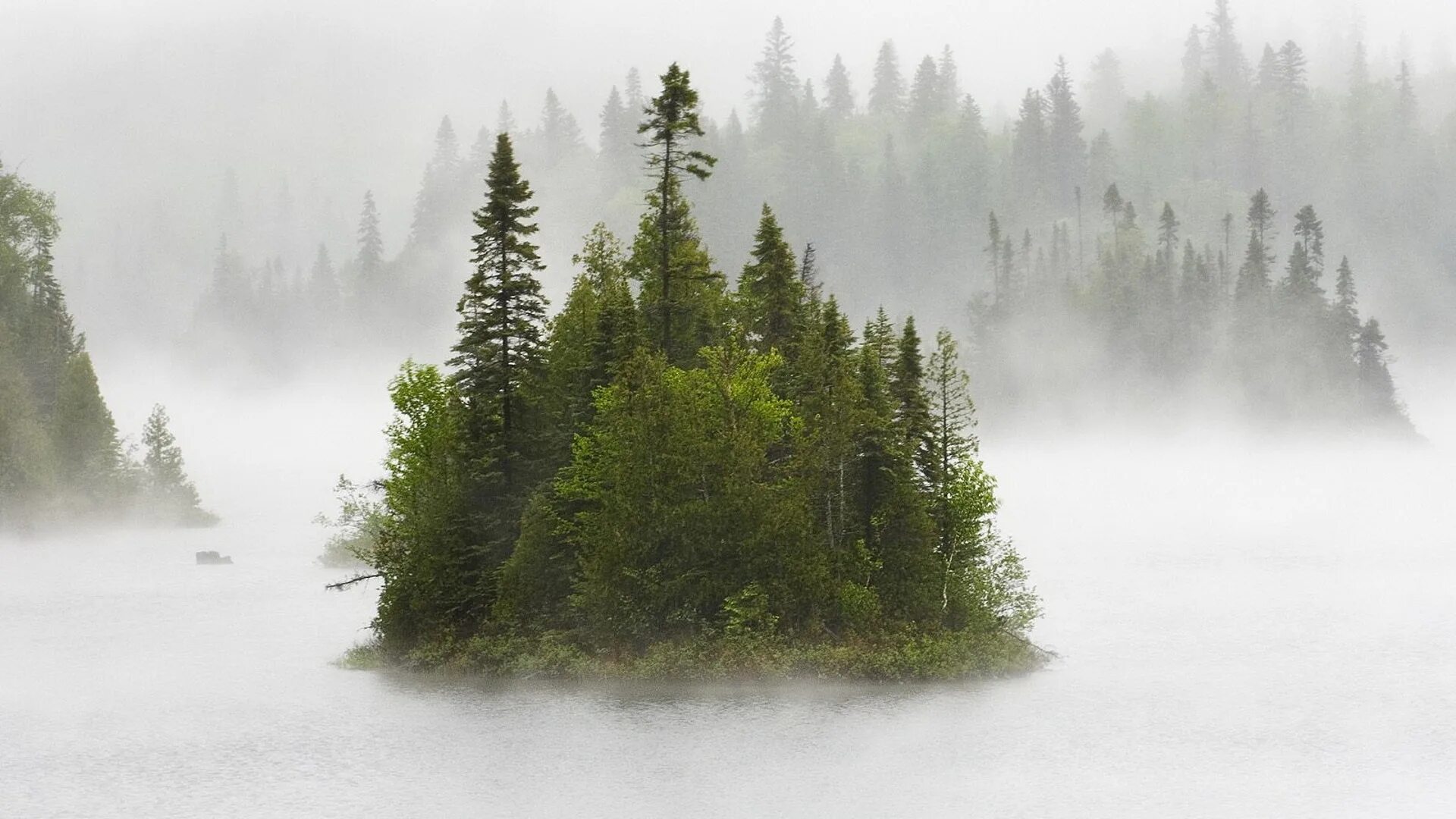 Морозный туман. Зимняя мгла. Зернистость на фото. Холодная зима. Winter brume.