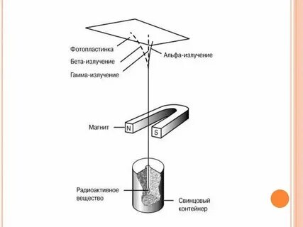 Бетта гамма это
