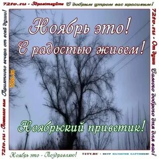 Открытки с ноябрем месяцем красивые