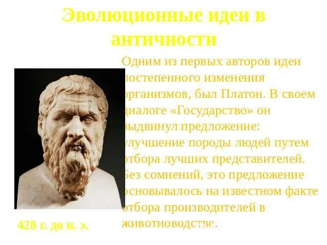 Эволюционные идеи биология. Эволюционные идеи в античном мире. учение об изяществе.