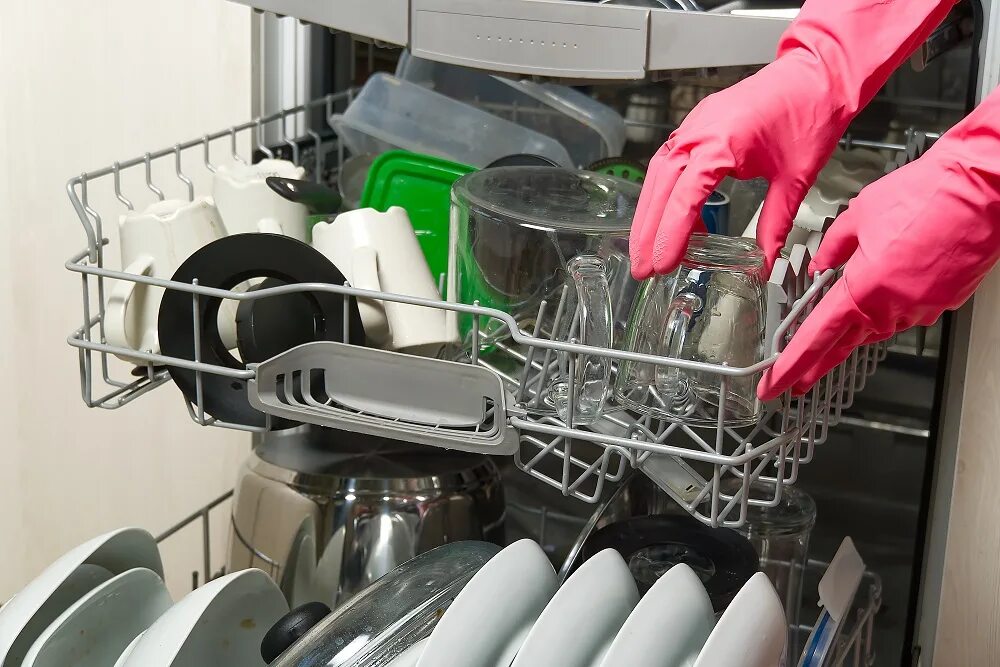 Put in Dishwasher. Load the Dishwasher. Посудомойка с бантом. Wash dishes in a Dishwasher.