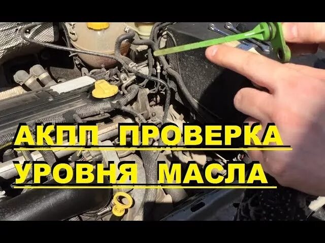 Опель Омега 2003 щуп АКПП. Опель Вектра с 2.2 уровень масла в АКПП. Уровень масла Опель Вектра с. Опель Вектра с 2004 датчик уровня масла. Уровень масла опель вектра