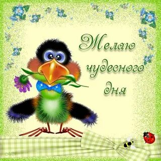 Шуточные пожелания хорошего дня