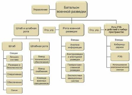 Отделение разведки состав группы