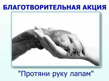 Рука помощи помощь животным