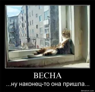 Приехал настоящее время