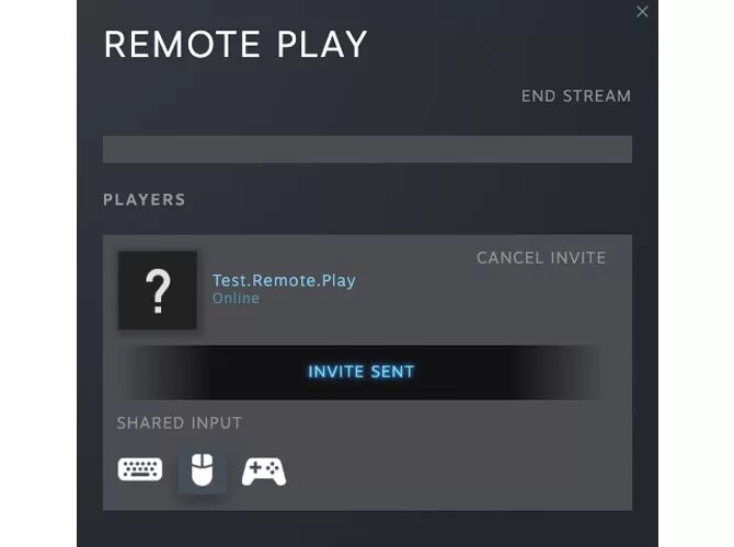 Steam Remote. Стим ремоут плей. Remote Play в стиме. Remote Play together Steam. Local player game players localplayer