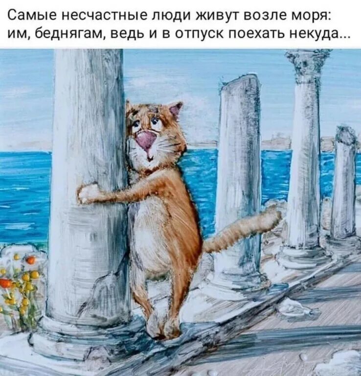 Жить никак все. Самые несчастные люди живут возле моря им. Котик на море. Веселые коты на море. Отпуск иллюстрация.