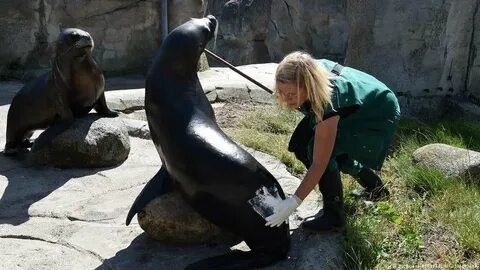 Zoos can am