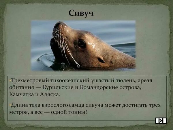 Конспект урока по окружающему миру на тему Животный мир