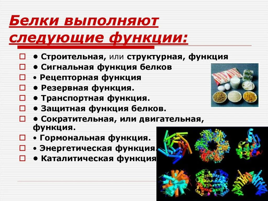 Белки выполняющие двигательную функцию. Белки выполняют функцию. Функции белков. Белки выполняют следующие функции.