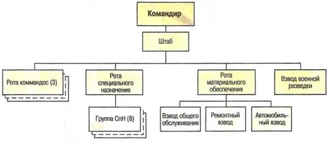 Специальная структура