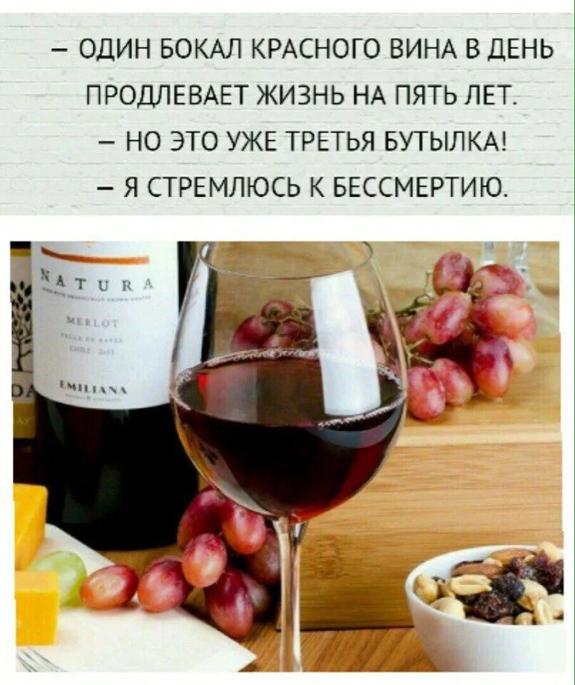 На вине себе поклялась. Афоризмы про вино. Смешные фразы про вино. Цитаты про вино. Прикольные высказывания про вино.