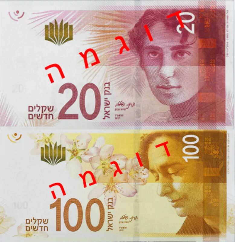 Рахель Блувштейн 20 шекелей. Рахель Блувштейн купюра. 20 New Shekels в рублях. Обои 200 шекелей вертикальные. 400 шекелей