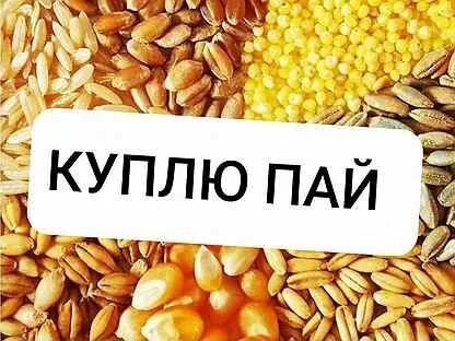 Покупаю паи