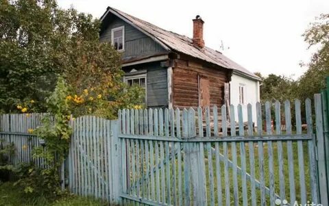 Авито лесной