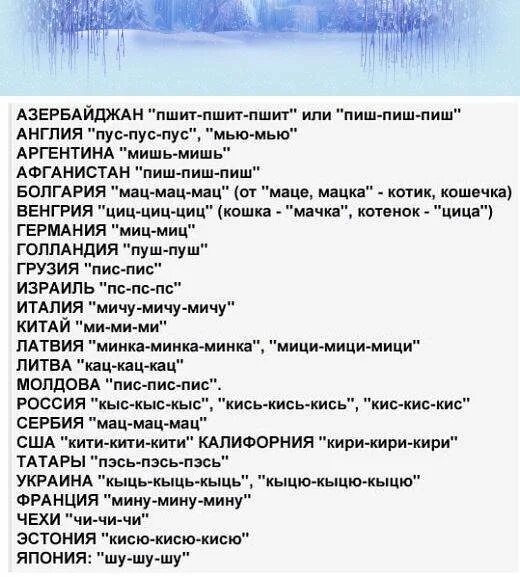 Тофу в сладком соусе. Кис кис по корейски. Привет, кис-кис. Кис кис по корейски. Как подзывают кошек в разных странах.