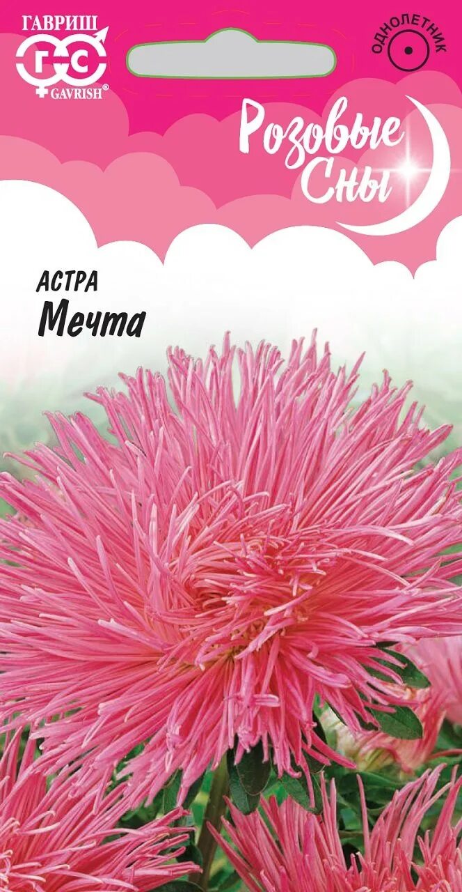 Мечты астры. Мечты астры. Мечты астры. Мечты астры. Мечты астры.