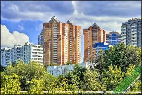 Москва ул удальцова 77