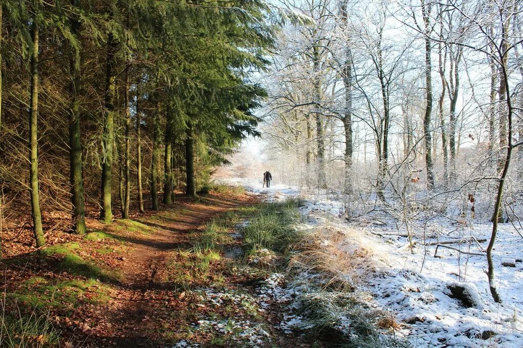 Сезон осень-зима. Смена сезонов. Seasons фото. Смена сезонов фото