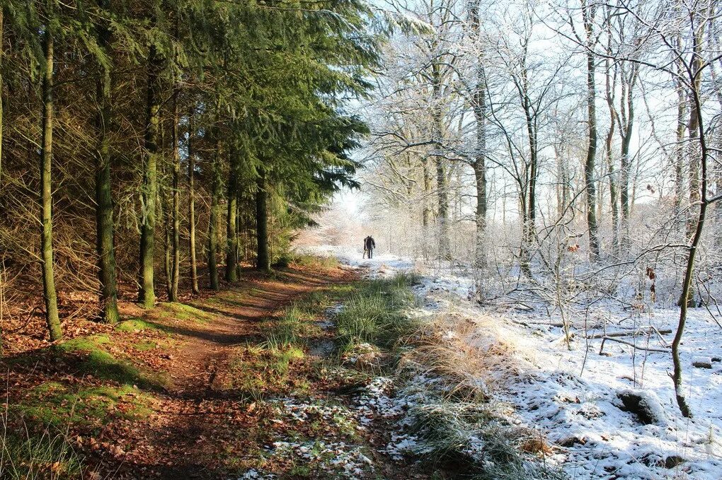 Пейзажи времени. Сезон осень-зима. Смена сезонов. Seasons фото. Смена сезонов фото.