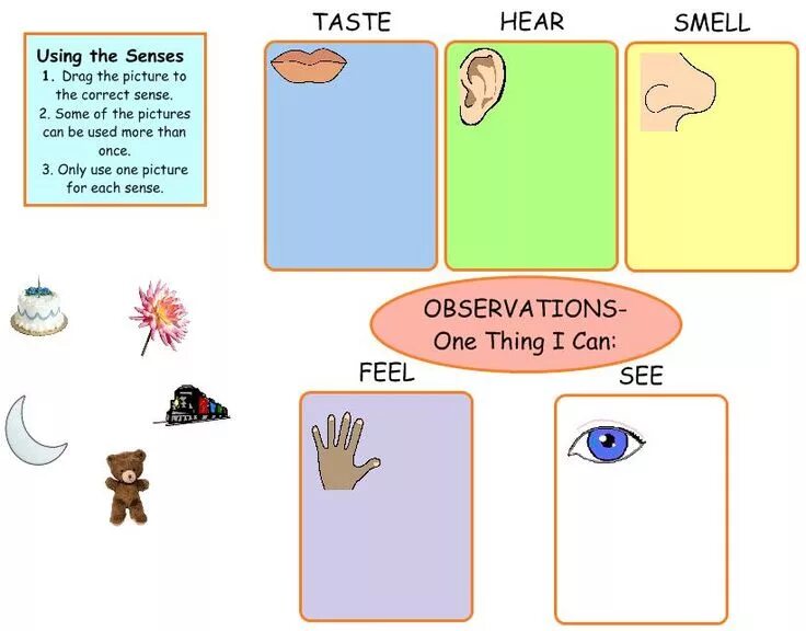 I can t hear. 5 Senses for Kids примеры. Five senses activities for Kids. 5 Senses урок. I can see задания.