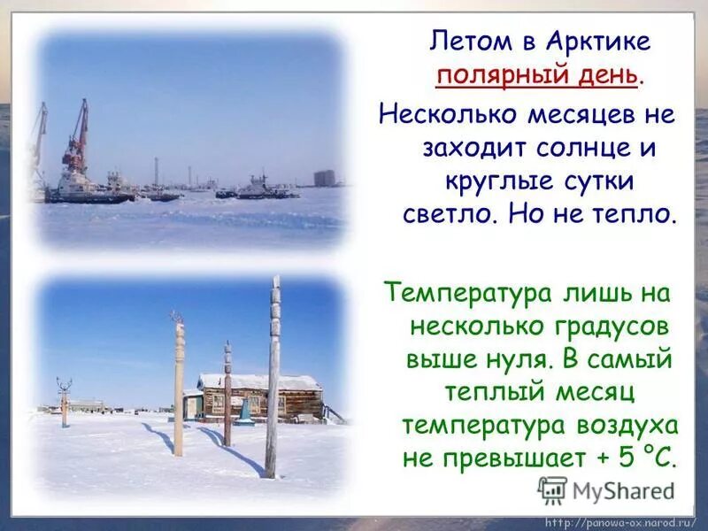 В россии не заходит солнце. Полярный день солнце не заходит. Летом в Арктике день несколько месяцев. Не заходящее солнце. Самый тёплый месяц в зоне Арктики.